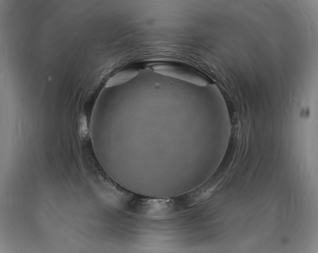 X0000090930089200707301604