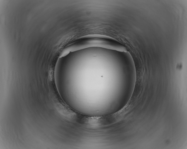 X0000090930090200707301604