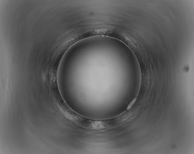X0000090930091200707301604