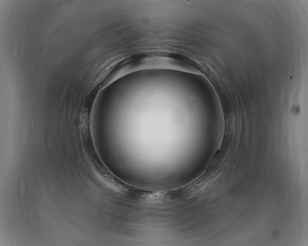 X0000090930092200707301604