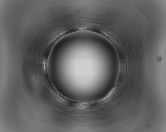 X0000090930094200707301604