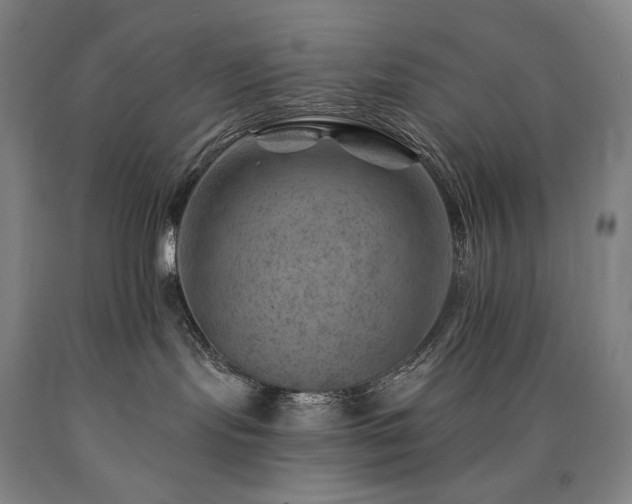 X0000090930095200707301604