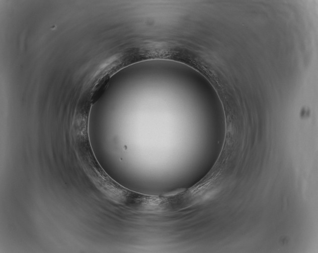 X0000090930096200707301604