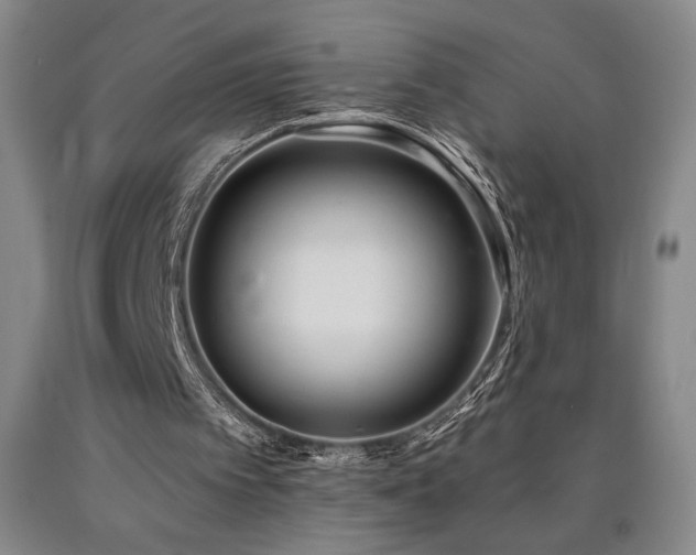 X0000090930097200707301604