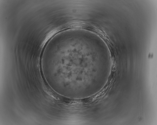 X0000090930099200707301604