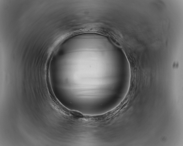 X0000090930100200707301604