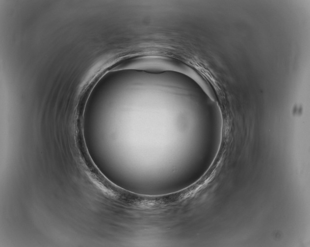 X0000090930101200707301604