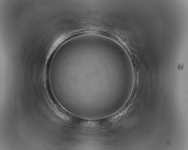 X0000090930102200707301603