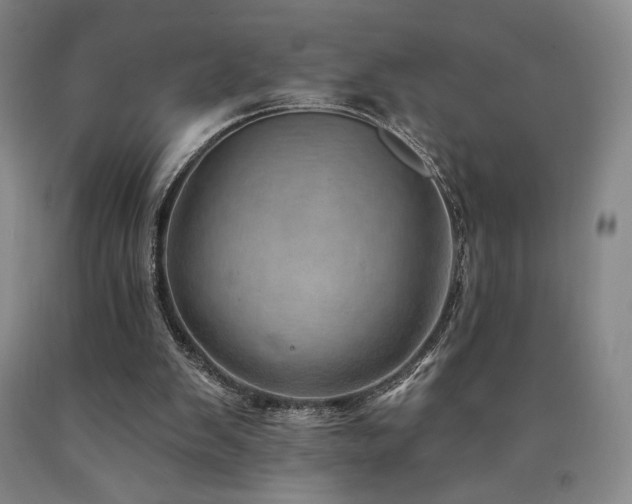 X0000090930103200707301603