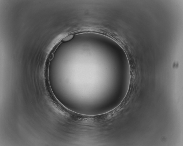 X0000090930104200707301603