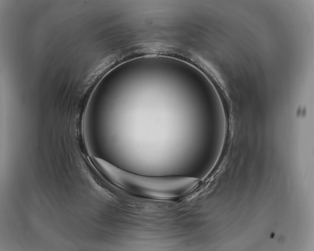 X0000090930105200707301603