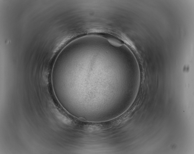X0000090930106200707301603