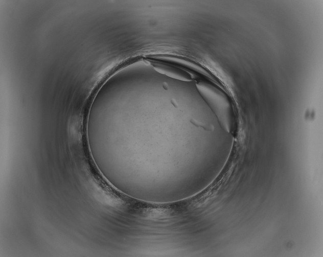 X0000090930107200707301603