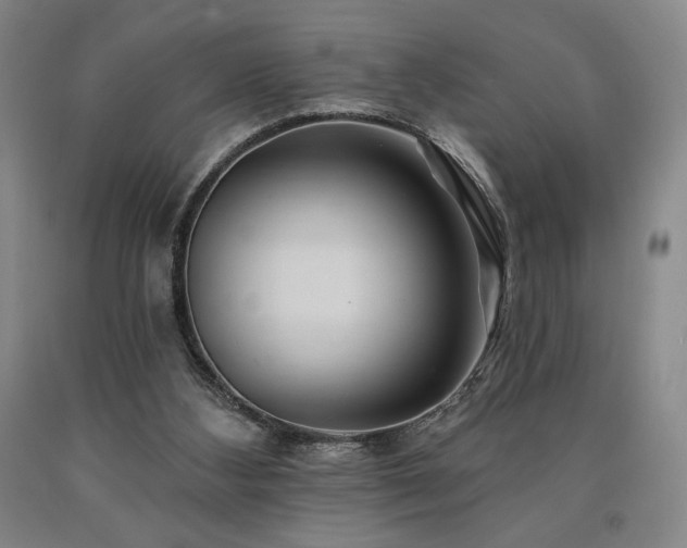 X0000090930108200707301603