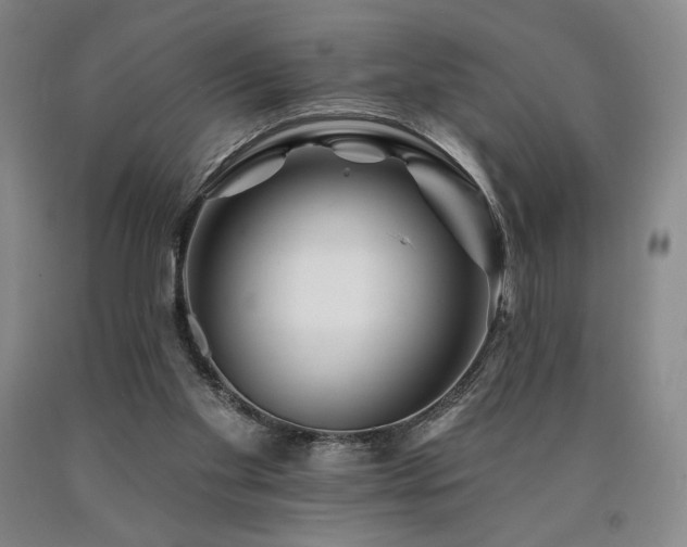 X0000090930109200707301603