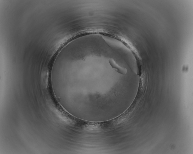 X0000090930110200707301603