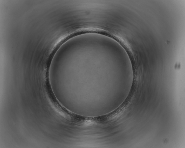 X0000090930111200707301603