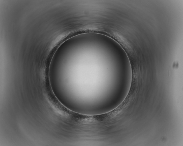 X0000090930112200707301603
