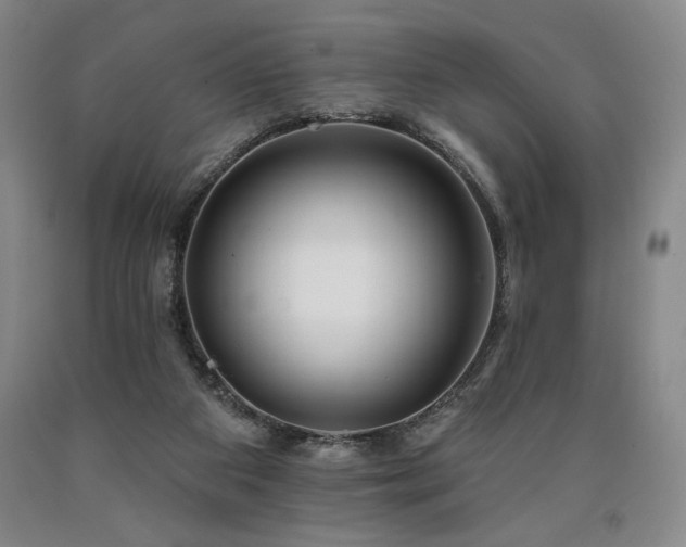 X0000090930113200707301603