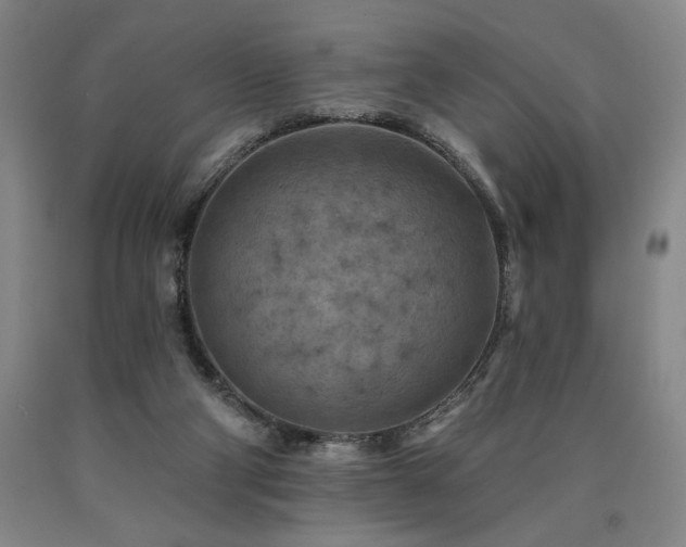 X0000090930114200707301603