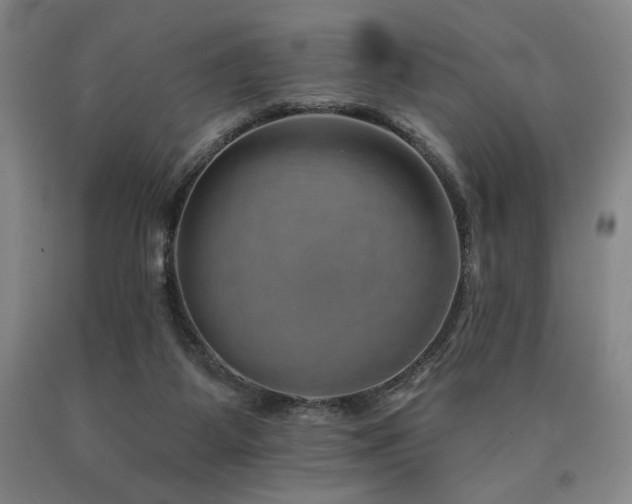 X0000090930115200707301603