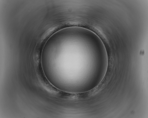 X0000090930116200707301603