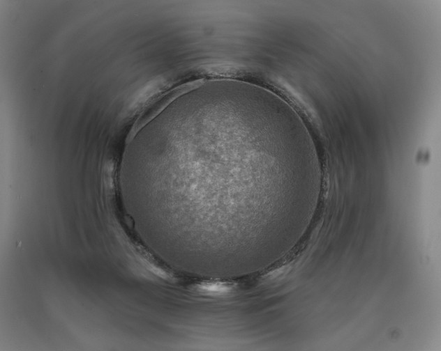 X0000090930117200707301603