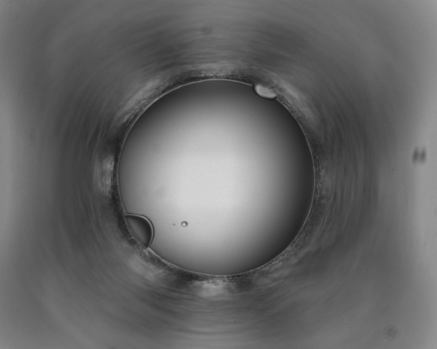 X0000090930118200707301603