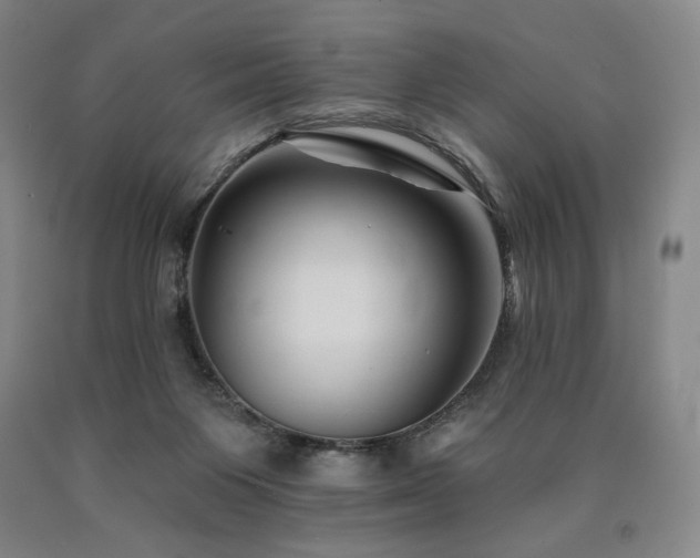 X0000090930119200707301603