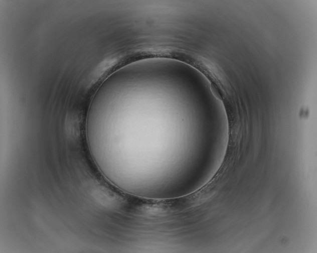 X0000090930120200707301603