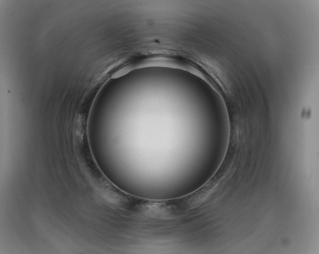 X0000090930121200707301603