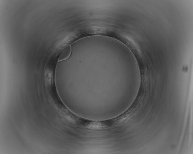 X0000090930123200707301603