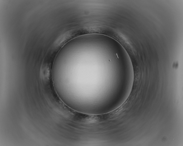 X0000090930124200707301603