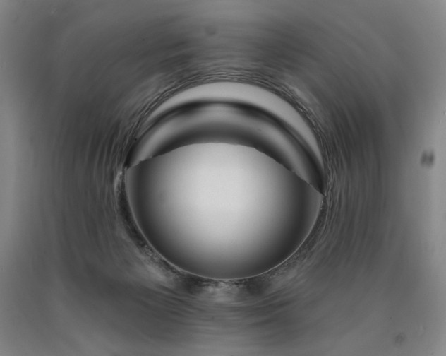 X0000090930125200707301603