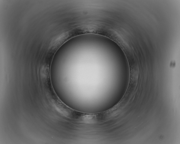 X0000090930126200707301603