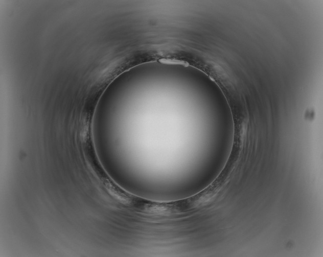 X0000090930129200707301603