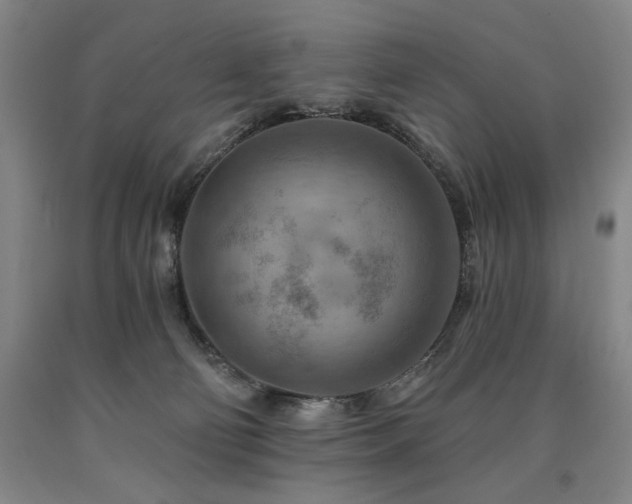 X0000090930130200707301603
