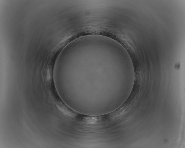 X0000090930131200707301603