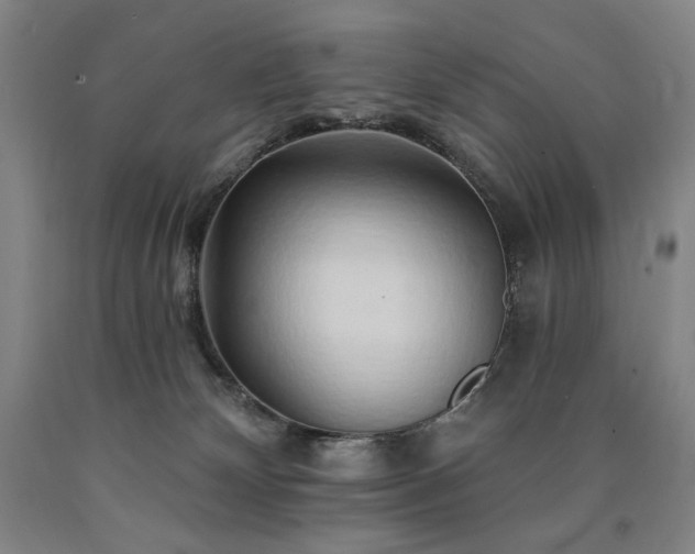 X0000090930132200707301603