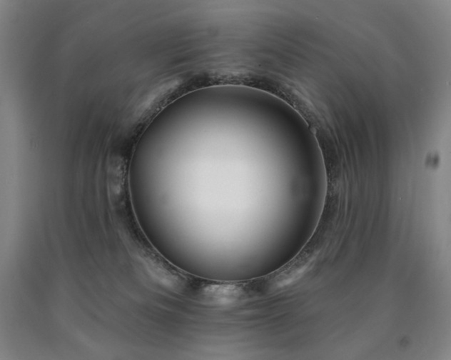X0000090930133200707301603