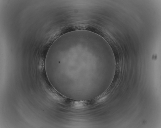 X0000090930134200707301603