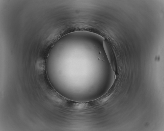 X0000090930135200707301603