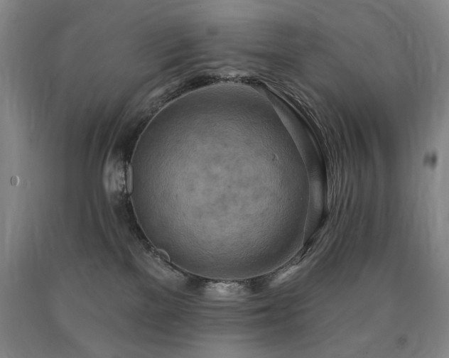 X0000090930137200707301603