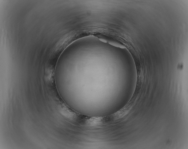 X0000090930138200707301603