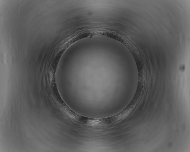 X0000090930139200707301603