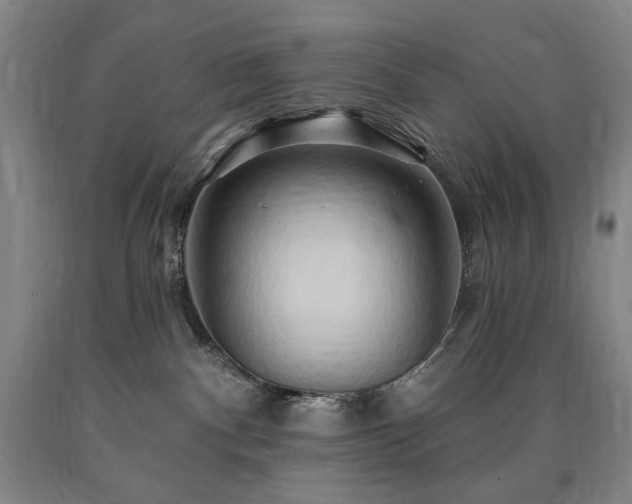 X0000090930140200707301603