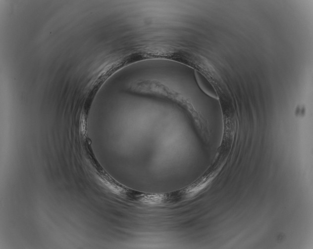 X0000090930143200707301603
