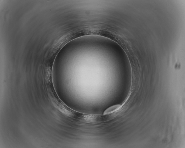 X0000090930144200707301603