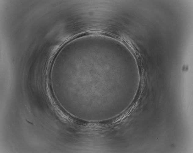 X0000090930145200707301602