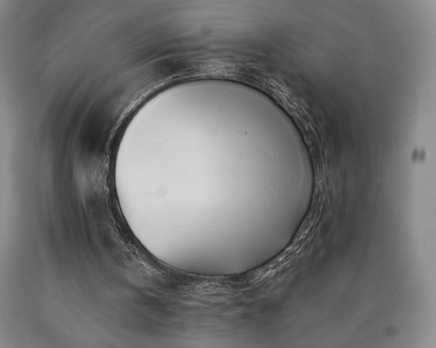 X0000090930146200707301602